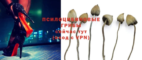 твердый Абинск