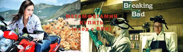 крисы Осташков