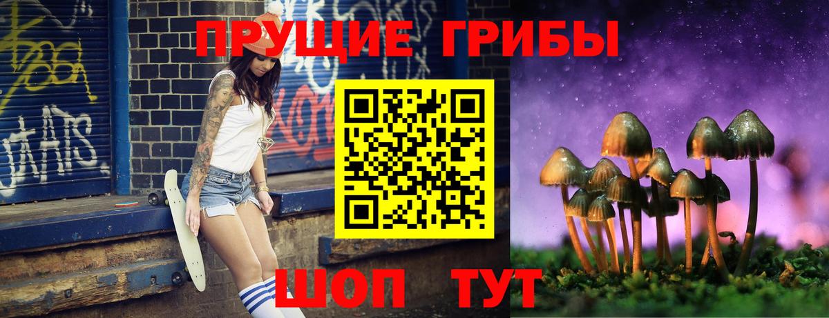 Псилоцибиновые грибы прущие грибы  Вход с VPN  Скопин  Псилоцибиновые грибы Psilocybe 