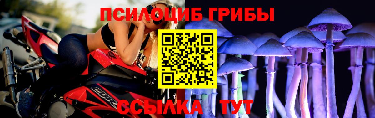 Галлюциногенные грибы прущие грибы Скопин